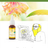 16. Honeysuckle - Fleur de Bach Bio 20ml Laboratoires Bioligo