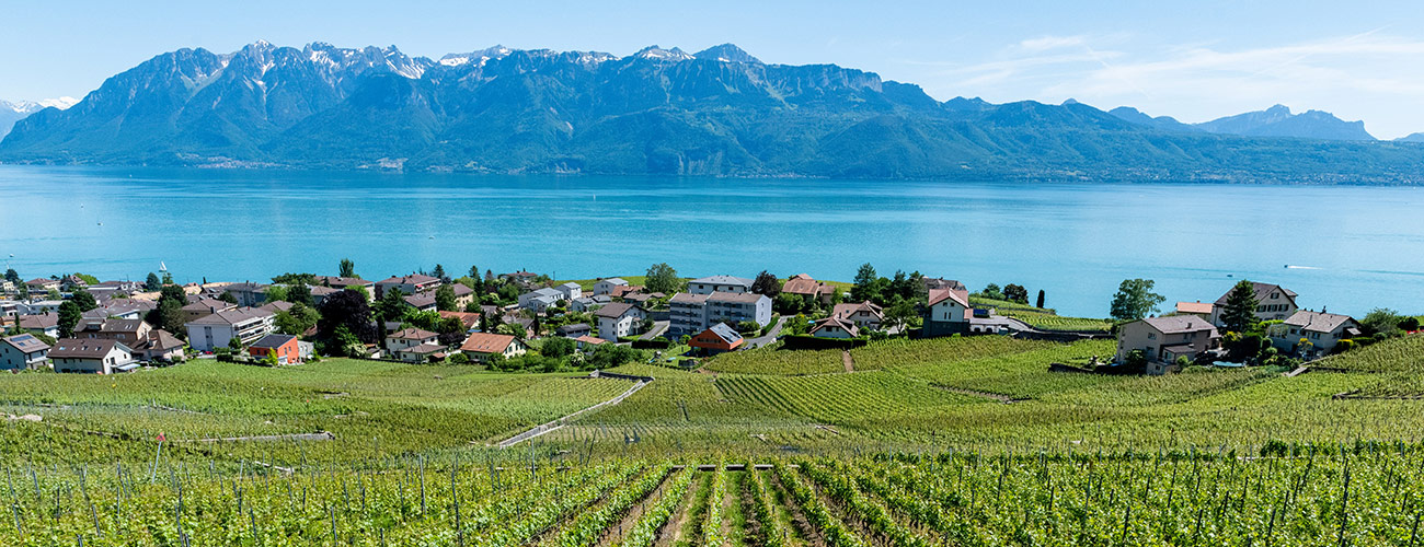 Équilibre Poe Lac Léman Laboratoire Bioligo