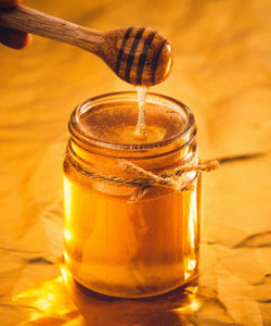 Miel force tonique Laboratoire Bioligo