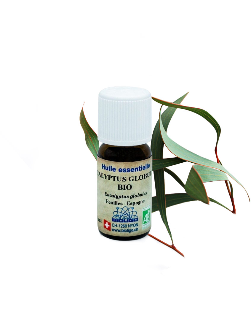 Eucalyptus globuleux BIO huiles essentielles Laboratoires Bioligo